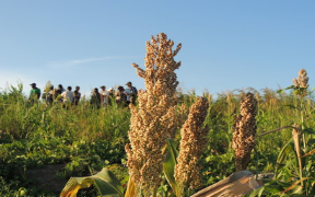 Actualité : Sols Issus de l’altération des roches